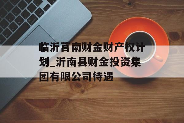 临沂莒南财金财产权计划_沂南县财金投资集团有限公司待遇