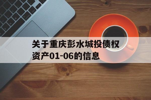 关于重庆彭水城投债权资产01-06的信息