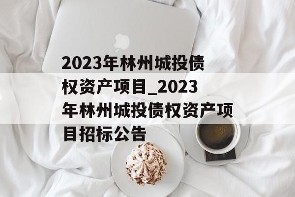 2023年林州城投债权资产项目_2023年林州城投债权资产项目招标公告