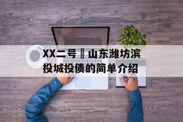 XX二号•山东潍坊滨投城投债的简单介绍