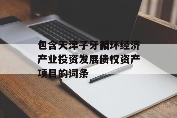 包含天津子牙循环经济产业投资发展债权资产项目的词条