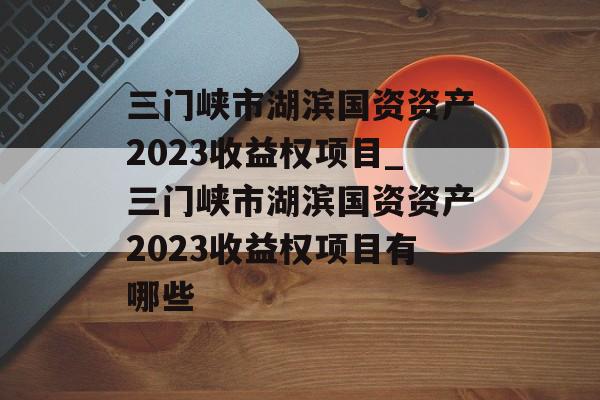 三门峡市湖滨国资资产2023收益权项目_三门峡市湖滨国资资产2023收益权项目有哪些