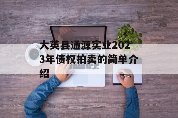 大英县通源实业2023年债权拍卖的简单介绍