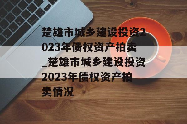 楚雄市城乡建设投资2023年债权资产拍卖_楚雄市城乡建设投资2023年债权资产拍卖情况