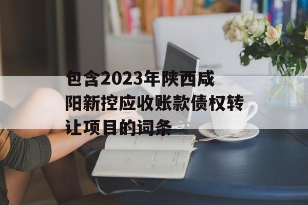 包含2023年陕西咸阳新控应收账款债权转让项目的词条