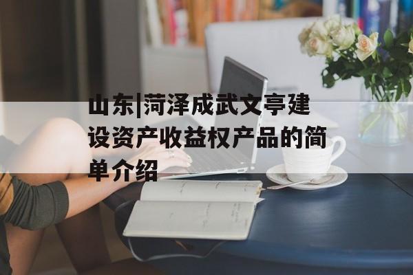 山东|菏泽成武文亭建设资产收益权产品的简单介绍