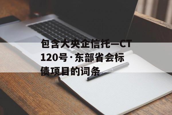 包含大央企信托—CT120号·东部省会标债项目的词条