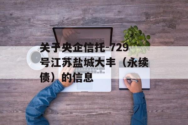 关于央企信托-729号江苏盐城大丰（永续债）的信息