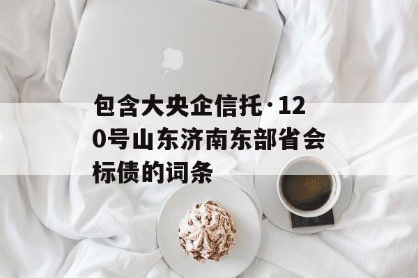 包含大央企信托·120号山东济南东部省会标债的词条