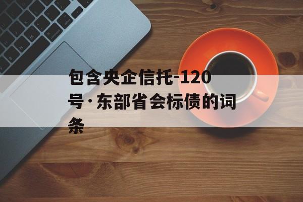 包含央企信托-120号·东部省会标债的词条