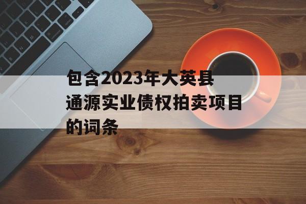 包含2023年大英县通源实业债权拍卖项目的词条