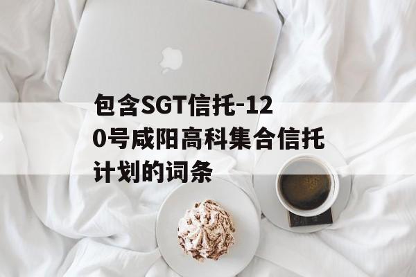 包含SGT信托-120号咸阳高科集合信托计划的词条