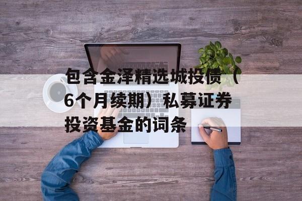 包含金泽精选城投债（6个月续期）私募证券投资基金的词条