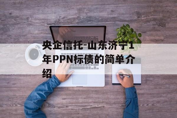 央企信托-山东济宁1年PPN标债的简单介绍