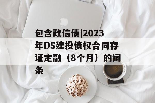 包含政信债|2023年DS建投债权合同存证定融（8个月）的词条