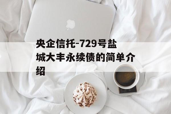 央企信托-729号盐城大丰永续债的简单介绍