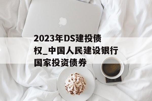 2023年DS建投债权_中国人民建设银行国家投资债券