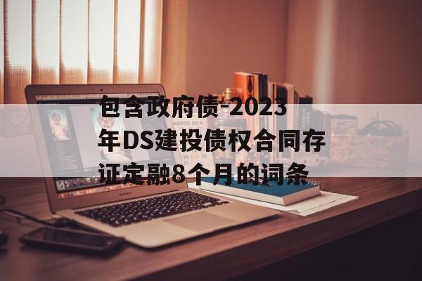 包含政府债-2023年DS建投债权合同存证定融8个月的词条