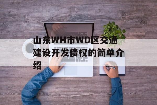 山东WH市WD区交通建设开发债权的简单介绍