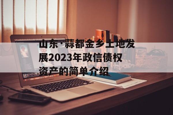 山东·蒜都金乡土地发展2023年政信债权资产的简单介绍