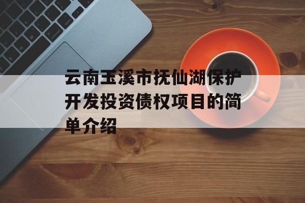 云南玉溪市抚仙湖保护开发投资债权项目的简单介绍