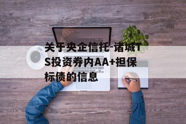 关于央企信托-诸城TS投资券内AA+担保标债的信息