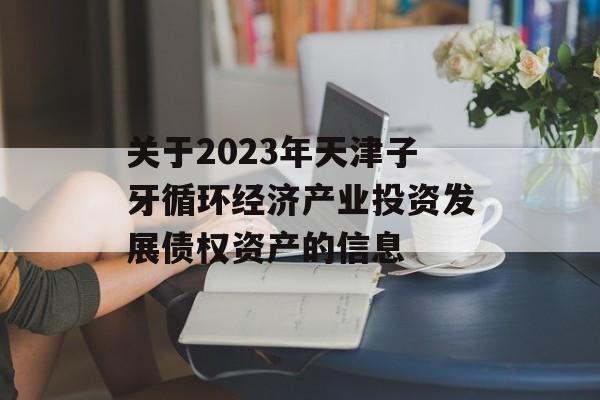 关于2023年天津子牙循环经济产业投资发展债权资产的信息