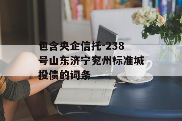 包含央企信托-238号山东济宁兖州标准城投债的词条