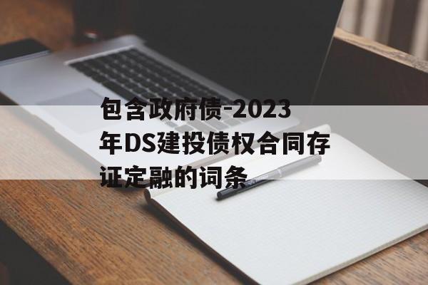 包含政府债-2023年DS建投债权合同存证定融的词条