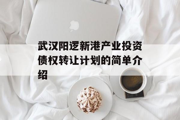 武汉阳逻新港产业投资债权转让计划的简单介绍