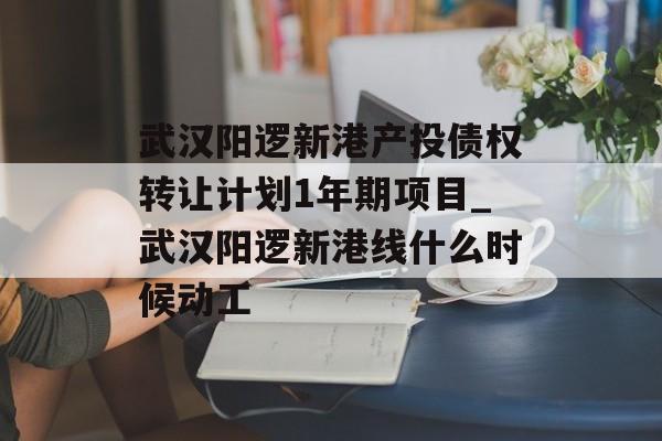 武汉阳逻新港产投债权转让计划1年期项目_武汉阳逻新港线什么时候动工