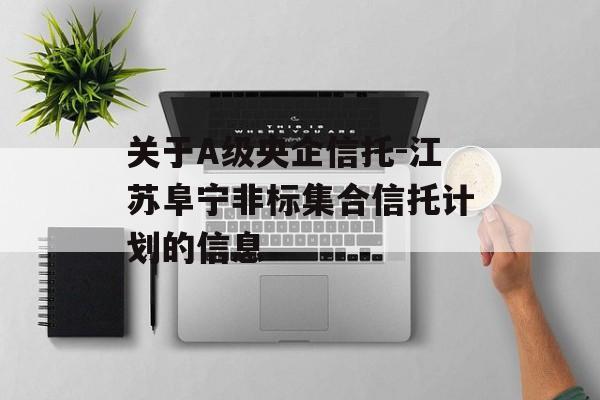 关于A级央企信托-江苏阜宁非标集合信托计划的信息