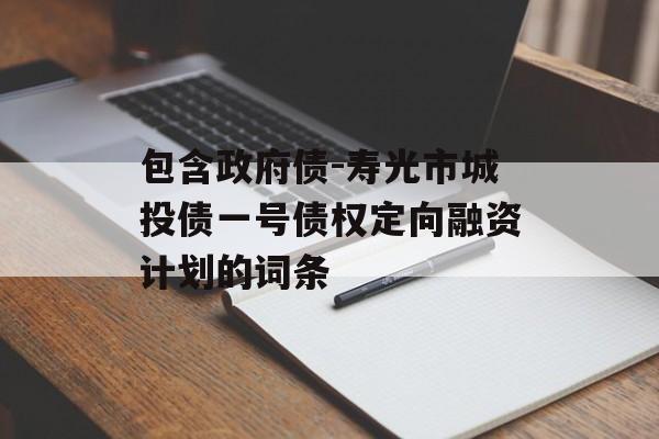 包含政府债-寿光市城投债一号债权定向融资计划的词条