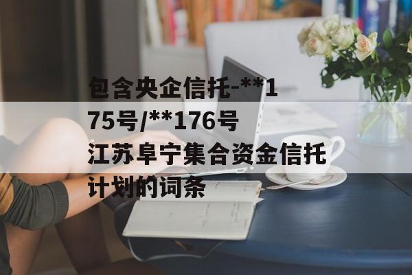 包含央企信托-**175号/**176号江苏阜宁集合资金信托计划的词条