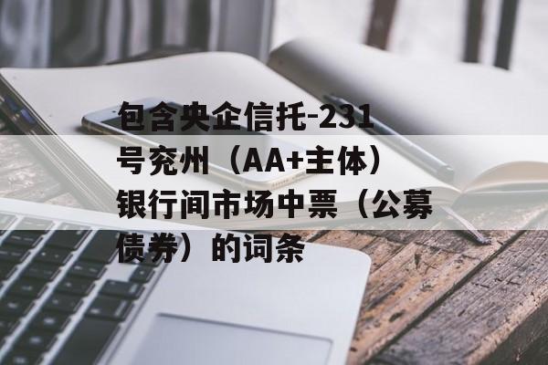 包含央企信托-231号兖州（AA+主体）银行间市场中票（公募债券）的词条