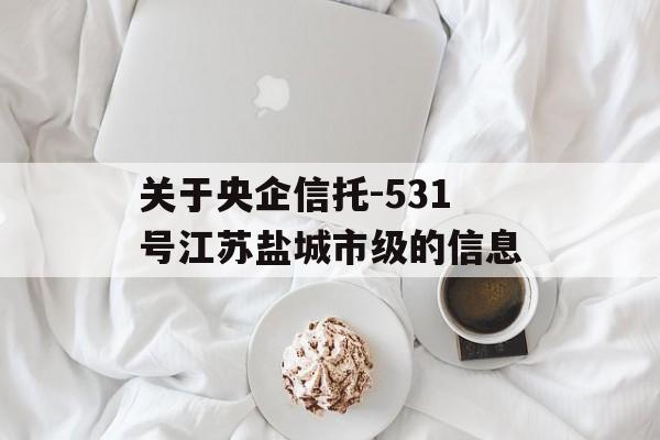 关于央企信托-531号江苏盐城市级的信息