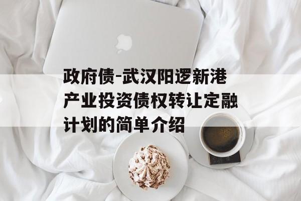 政府债-武汉阳逻新港产业投资债权转让定融计划的简单介绍