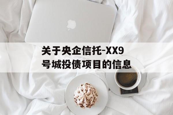 关于央企信托-XX9号城投债项目的信息