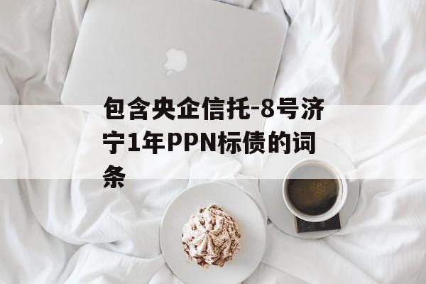 包含央企信托-8号济宁1年PPN标债的词条