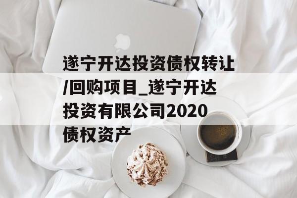 遂宁开达投资债权转让/回购项目_遂宁开达投资有限公司2020债权资产