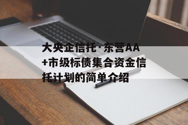 大央企信托·东营AA+市级标债集合资金信托计划的简单介绍