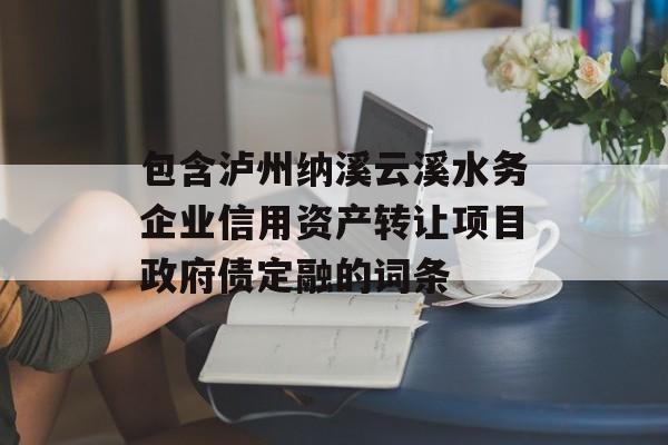 包含泸州纳溪云溪水务企业信用资产转让项目政府债定融的词条