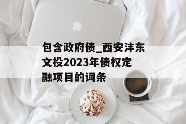 包含政府债_西安沣东文投2023年债权定融项目的词条