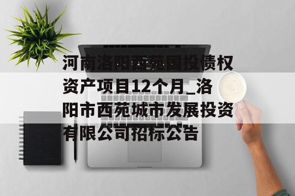 河南洛阳西苑国投债权资产项目12个月_洛阳市西苑城市发展投资有限公司招标公告