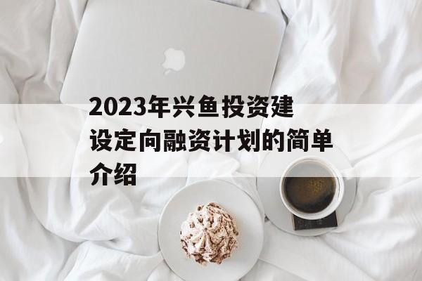 2023年兴鱼投资建设定向融资计划的简单介绍