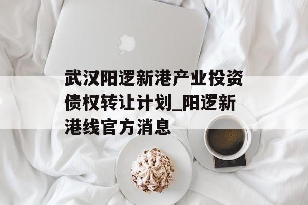 武汉阳逻新港产业投资债权转让计划_阳逻新港线官方消息