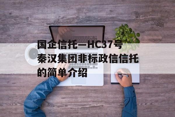 国企信托—HC37号秦汉集团非标政信信托的简单介绍