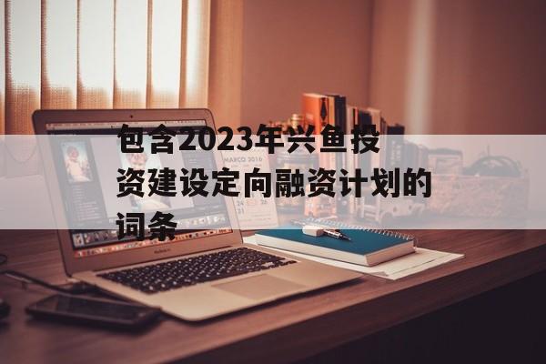 包含2023年兴鱼投资建设定向融资计划的词条