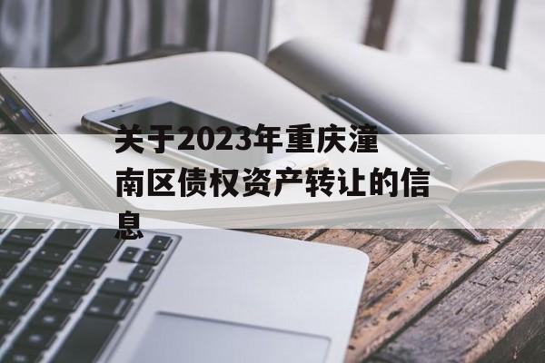 关于2023年重庆潼南区债权资产转让的信息