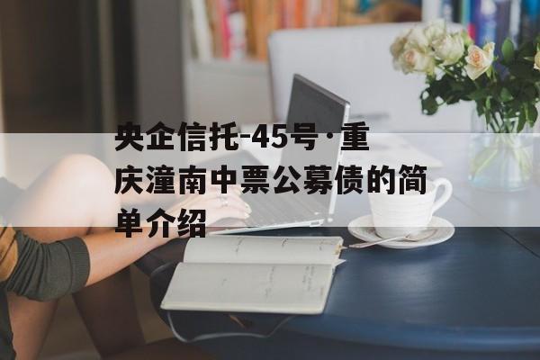 央企信托-45号·重庆潼南中票公募债的简单介绍